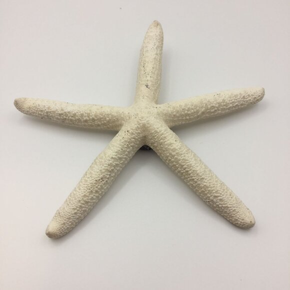 Vintage Set of 2 Seashell Magnets Starfish Sea Star Shell Hawaii Souvenir Fridge - Picture 3 of 10